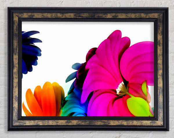 Vibrant Flower Glow Framed Print