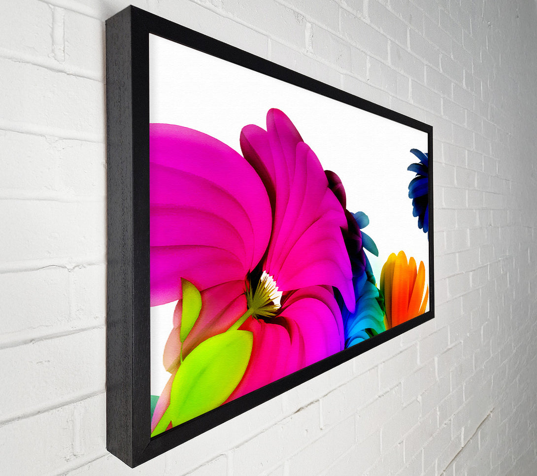  A Canvas Print of Colourful Vibrant Petals Canvas Art