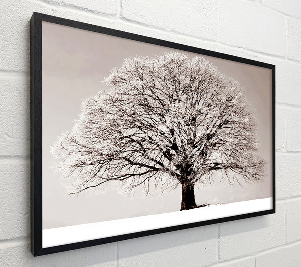 Lonely Winter Tree