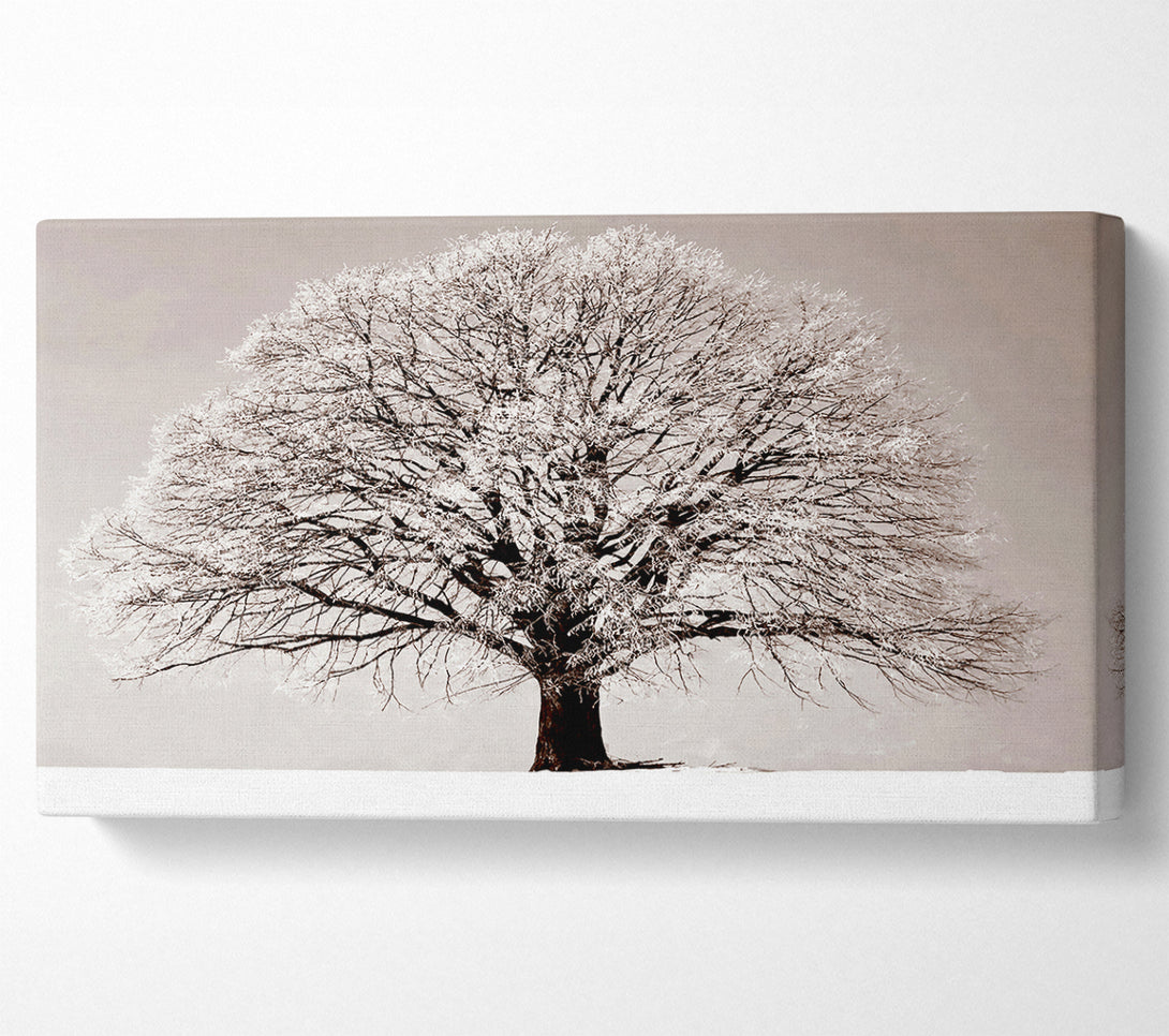  A Canvas Print of Lonely Winter Tree Canvas Wall Art