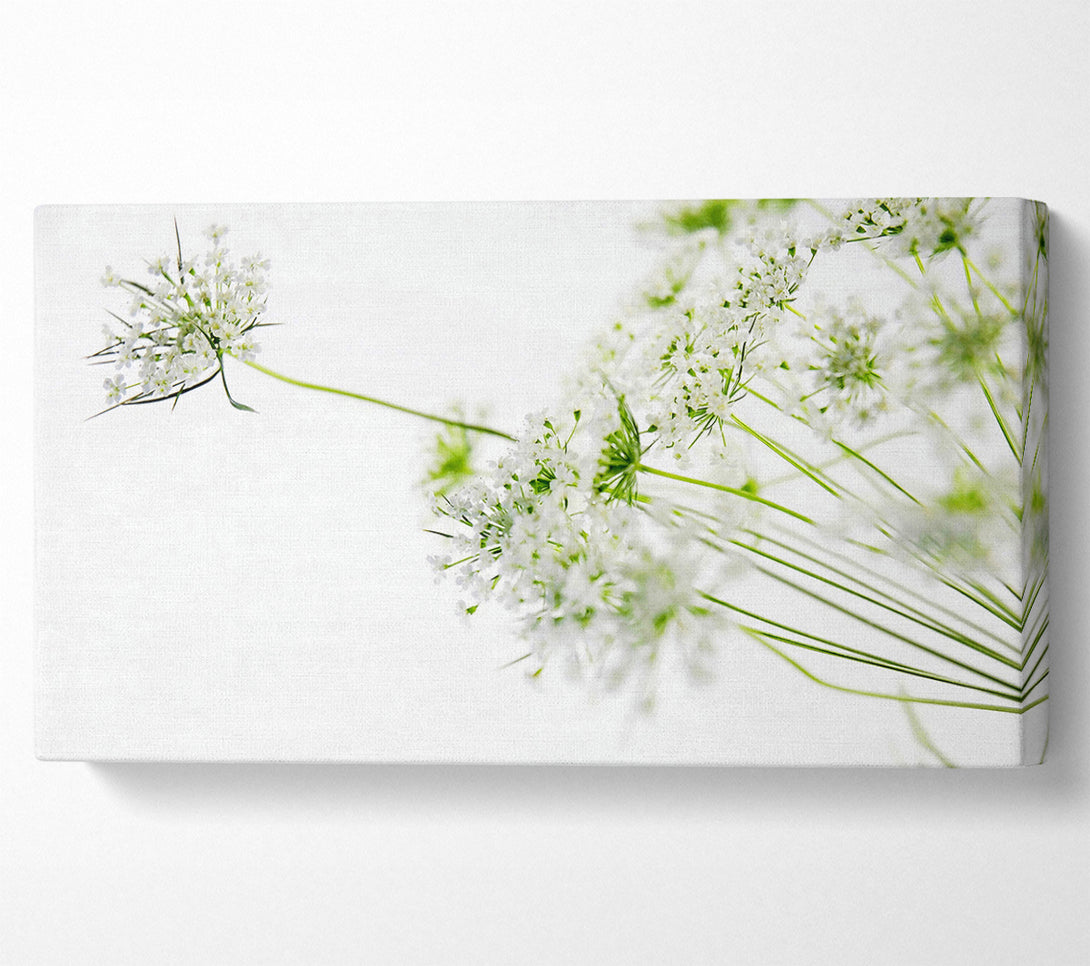 A Canvas Print of White On White Flowers Canvas Art