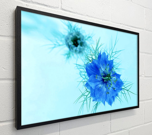 Blue On Blue Flower