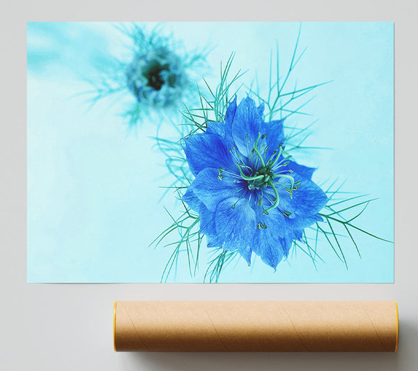 Blue On Blue Flower Poster
