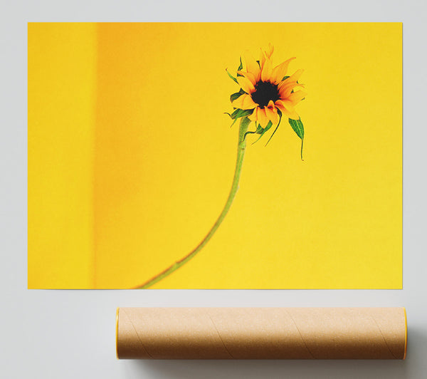 Mustard Sunflower Giclee Print