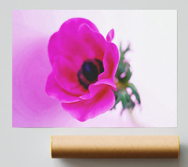 Pink Poppy Centre Poster