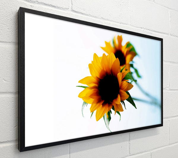Yellow Sunflower Duo