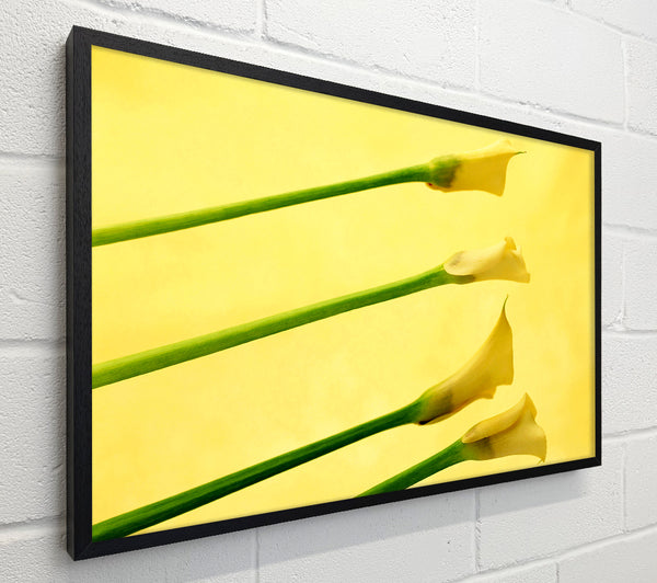 Yellow Trumpet Flowers