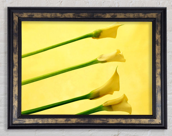 Yellow Trumpet Flowers Framed Print
