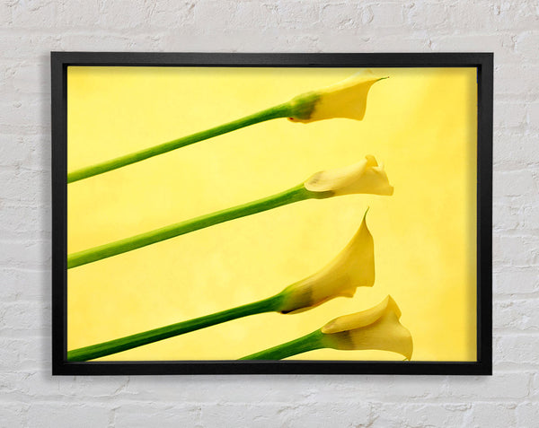Gelbe Trompetenblumen