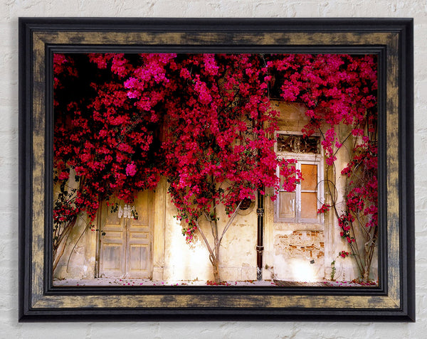 Italian Farmhouse Beauty Framed Print