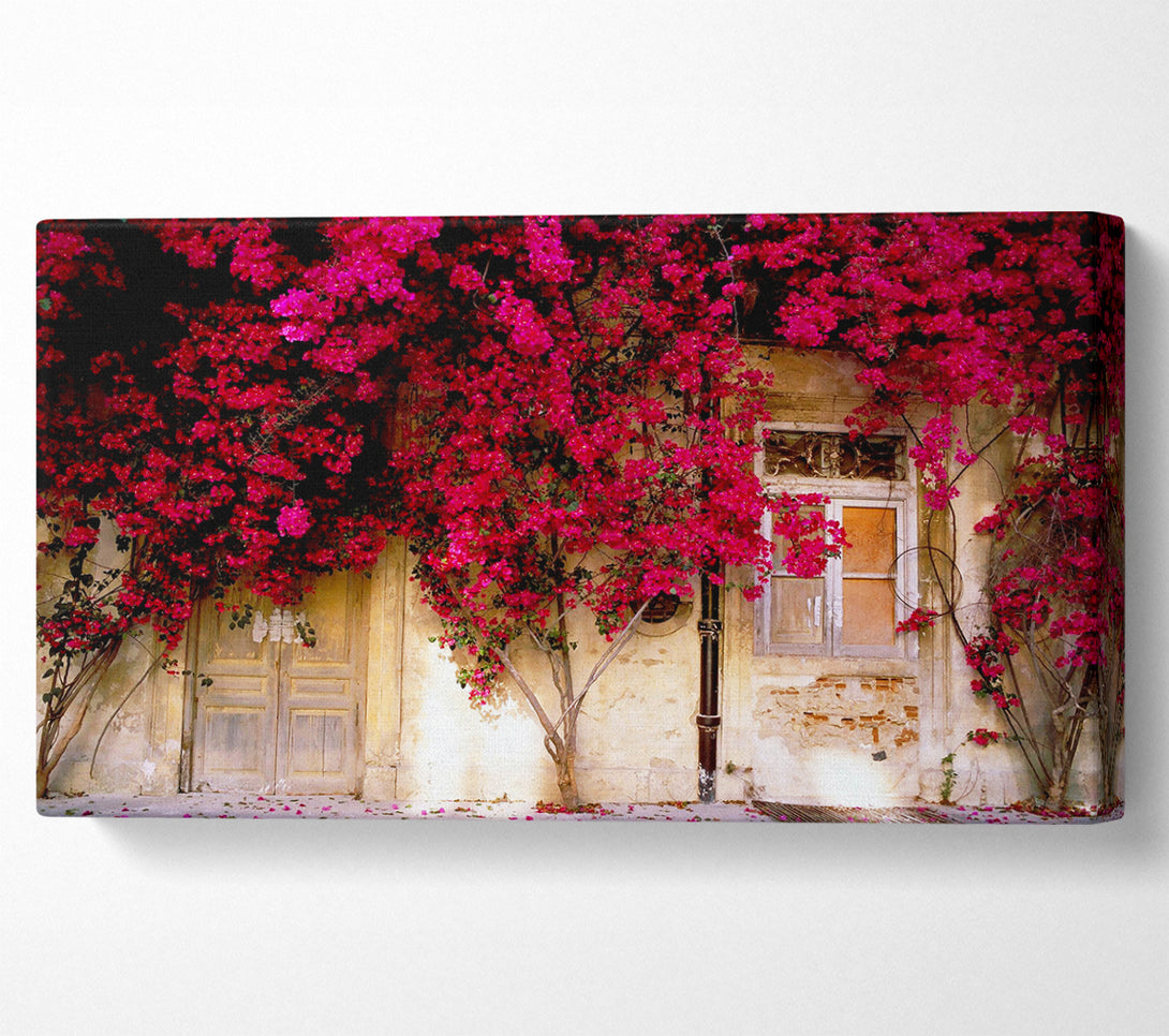  A Canvas Print of Italian Farmhouse Beauty Canvas Wall Art