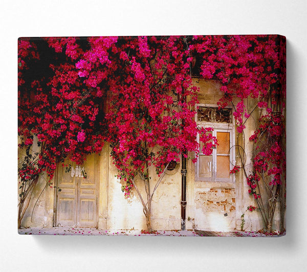  A Canvas Print of Italian Farmhouse Beauty Canvas Wall Art