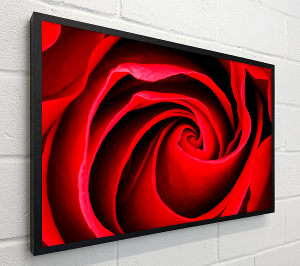 Red Rose Silk