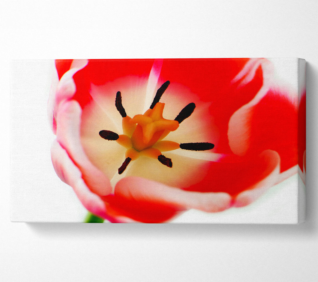  A Canvas Print of The Core Of A Tulip Canvas Wall Art