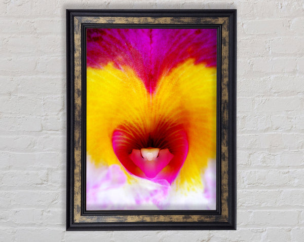 Flower Lips Framed Print