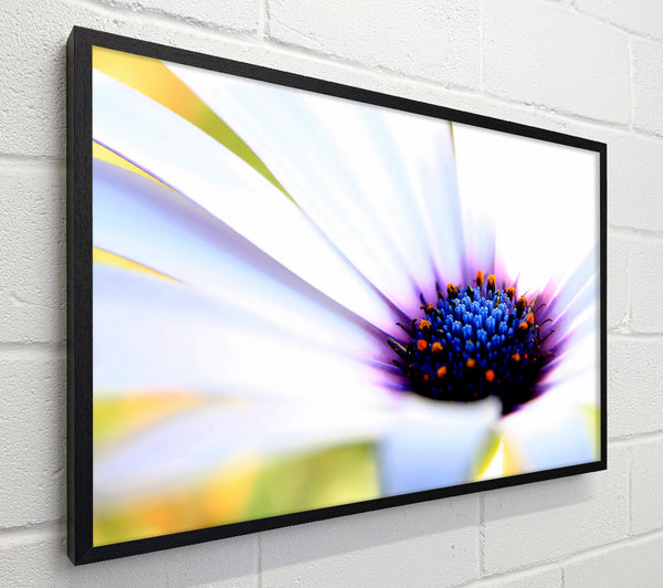 Purple Daisy Centre