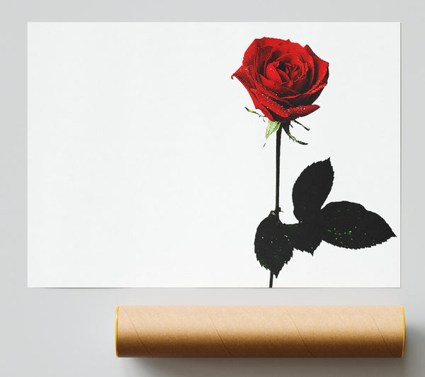 The Lovers Red Rose Poster