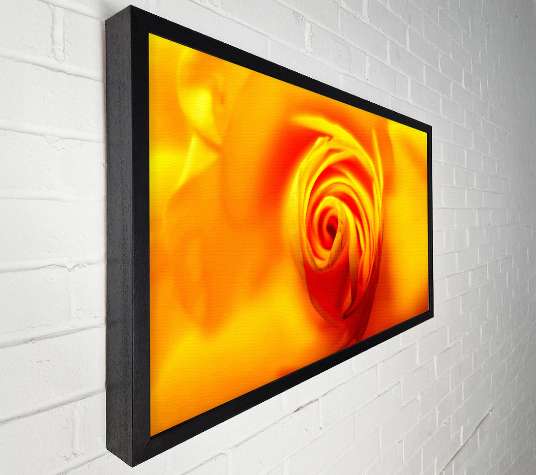  A Canvas Print of Golden Rose Centre Canvas Wall Art