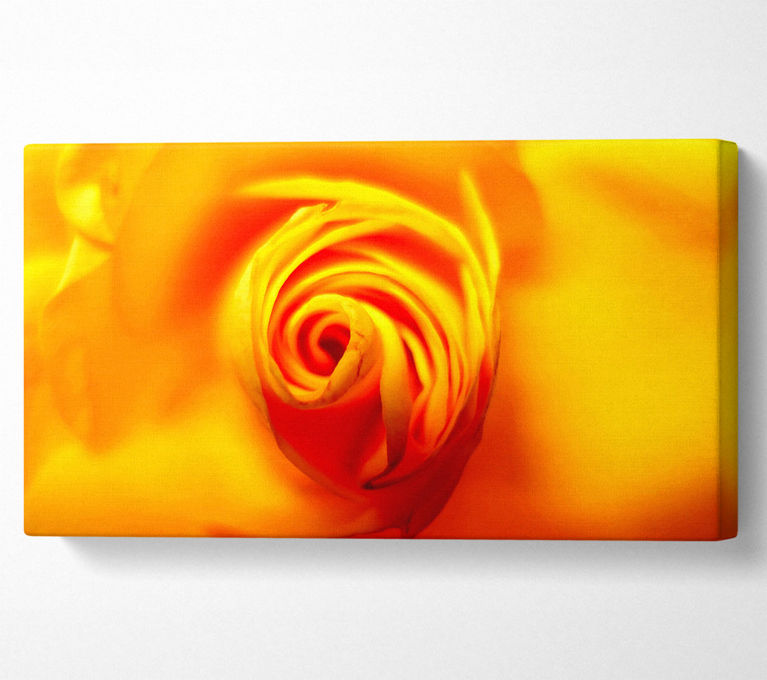  A Canvas Print of Golden Rose Centre Canvas Wall Art