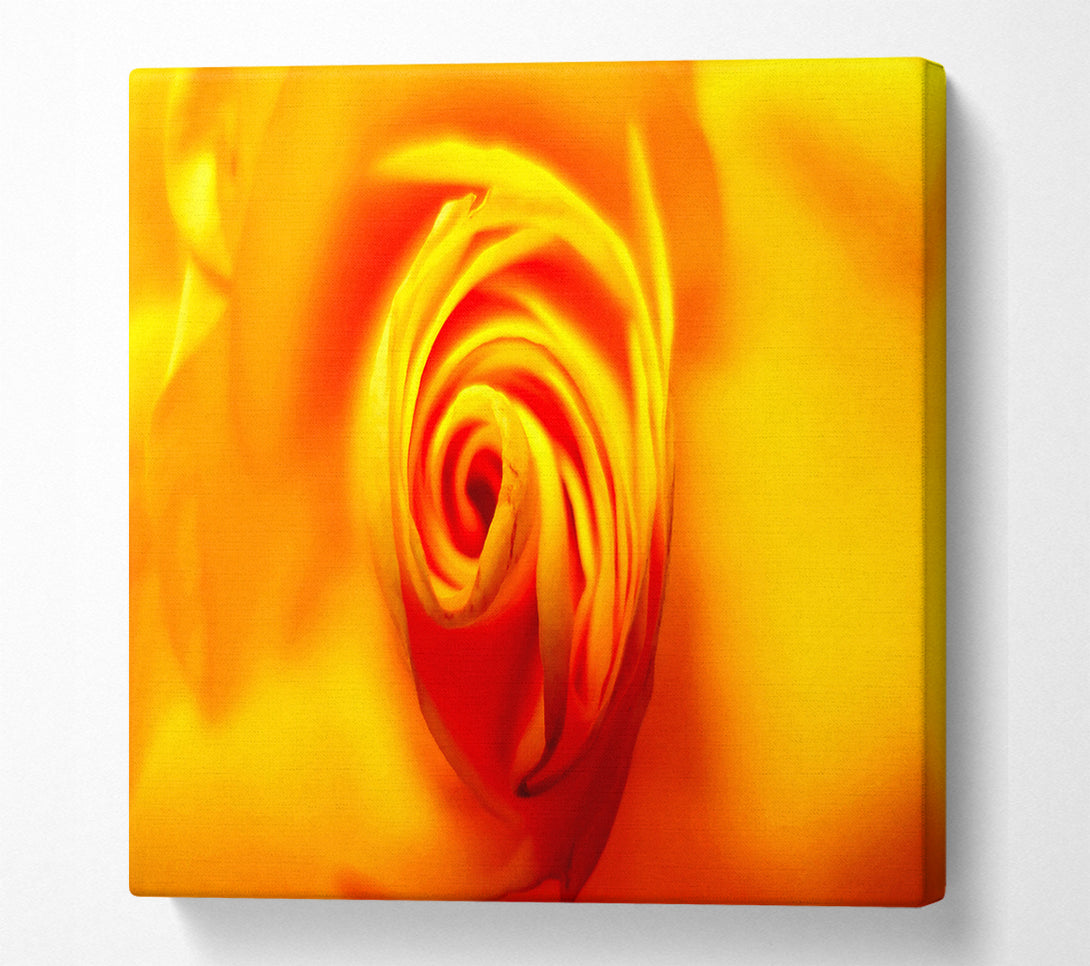  A Canvas Print of Golden Rose Centre Canvas Wall Art