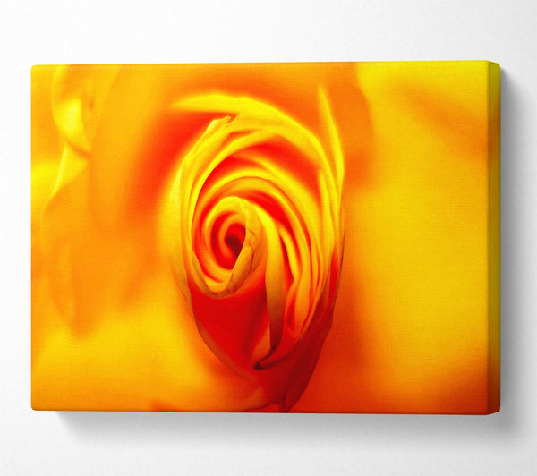  A Canvas Print of Golden Rose Centre Canvas Wall Art