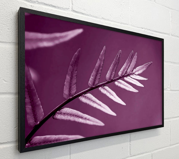 Purple Leaves