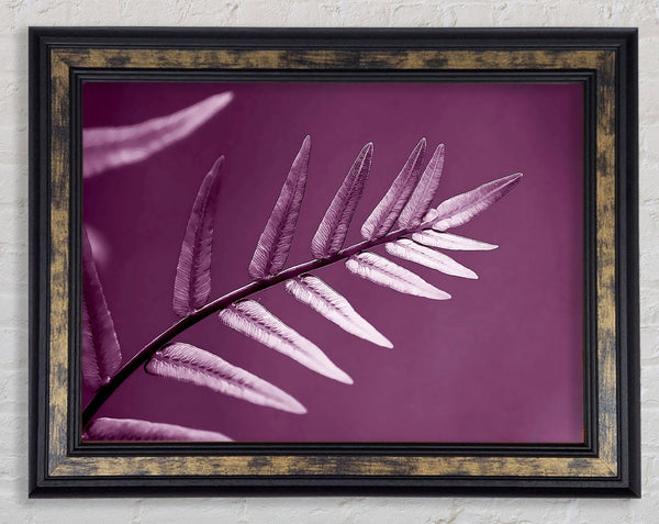 Purple Leaves Framed Print