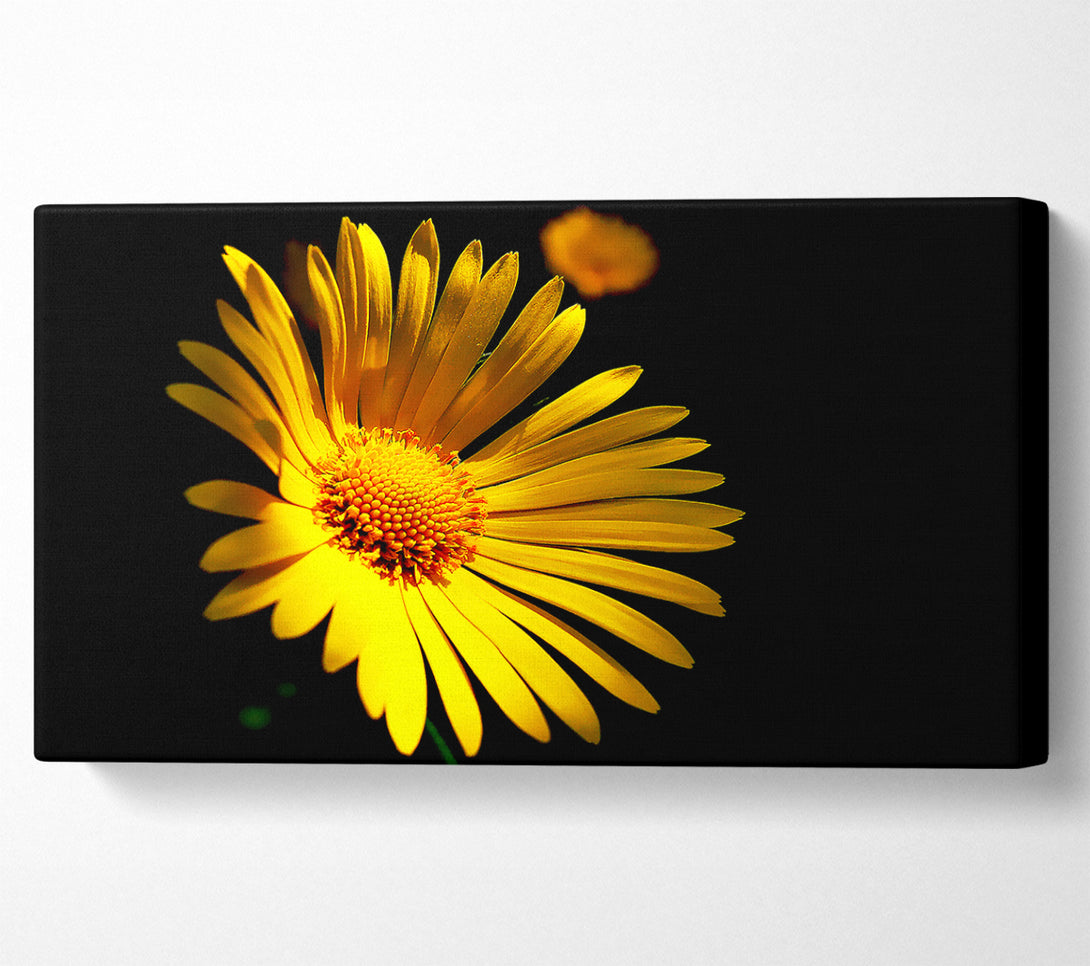  A Canvas Print of Golden Daisy Petals Canvas Print