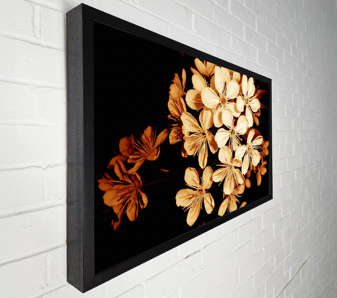  A Canvas Print of Cocoa Flowers Canvas Art