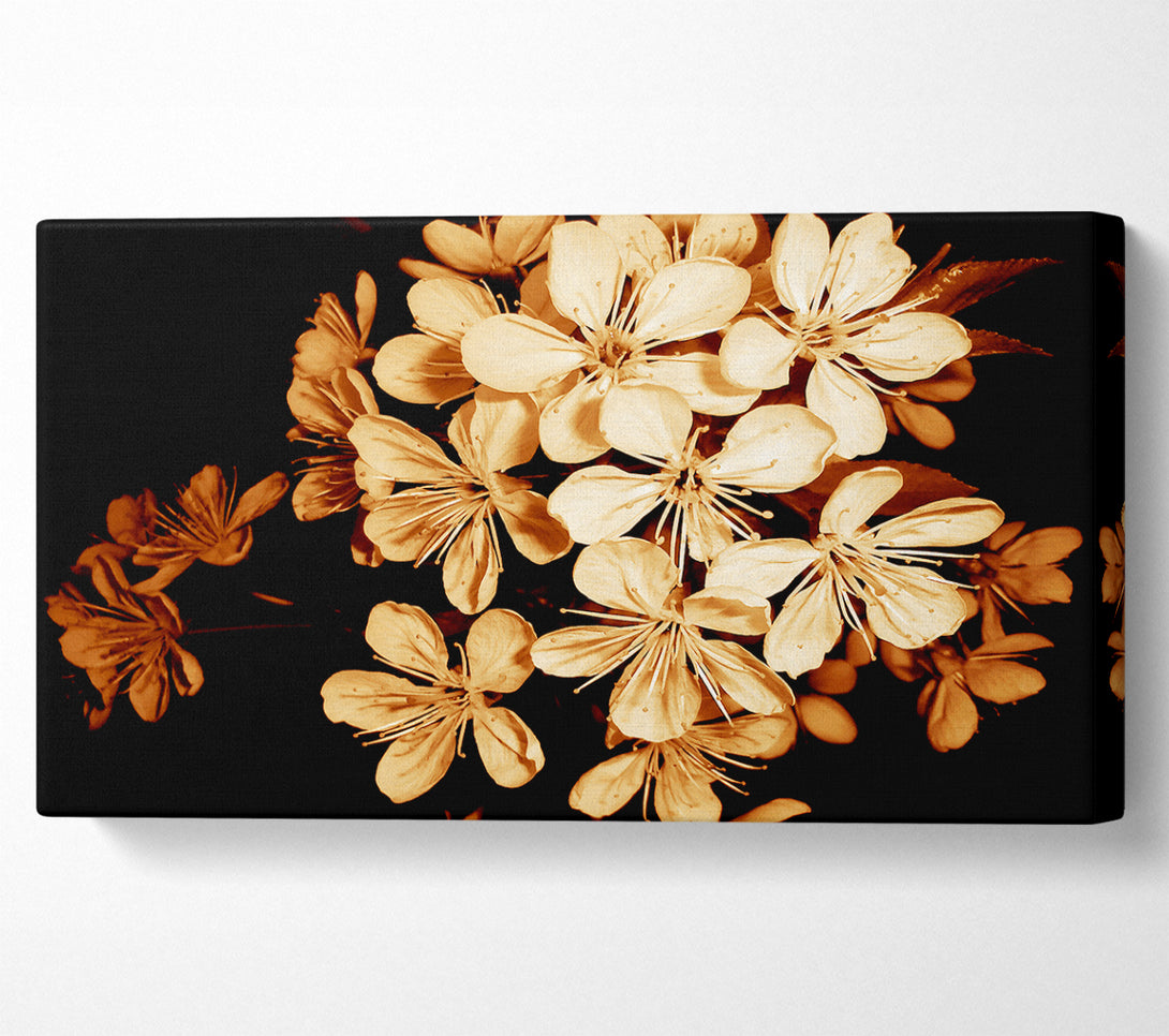  A Canvas Print of Cocoa Flowers Canvas Art