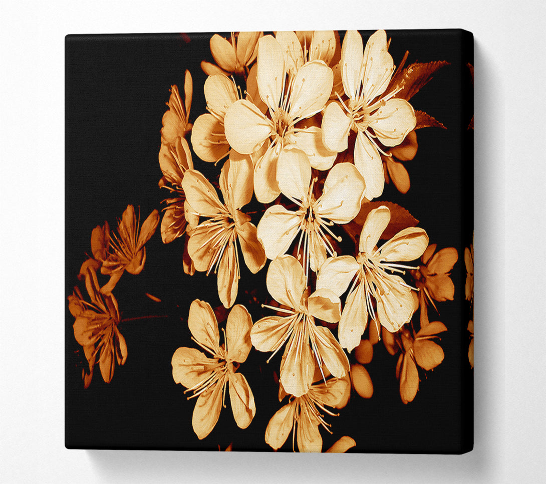  A Canvas Print of Cocoa Flowers Canvas Art