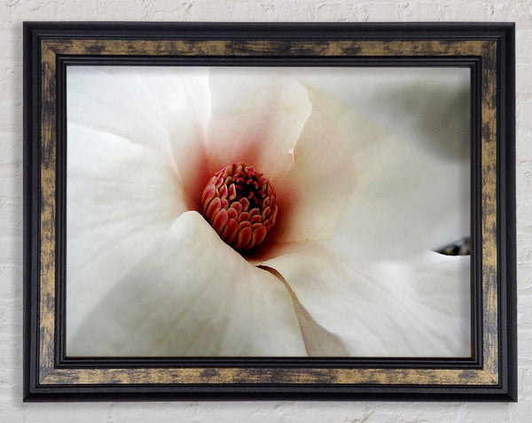 Soft Pink Centre Framed Print