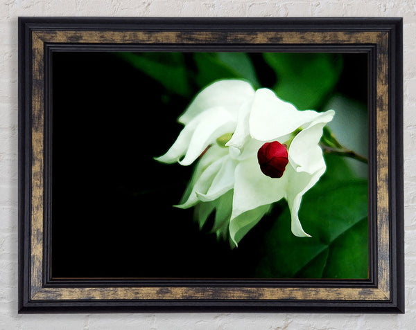 Red Ball Centre Framed Print