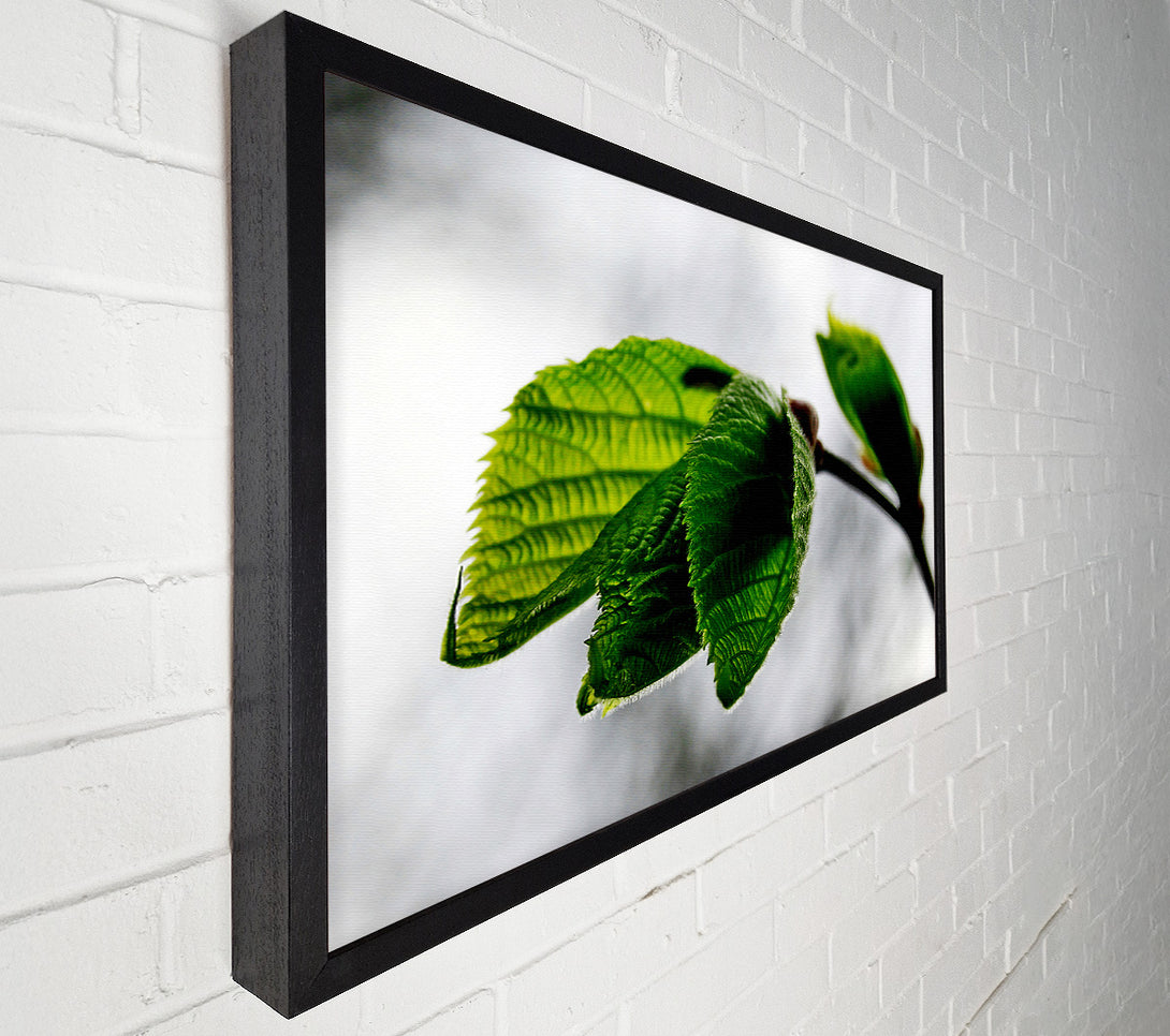  A Canvas Print of The Winter Leaves Canvas Wall Art
