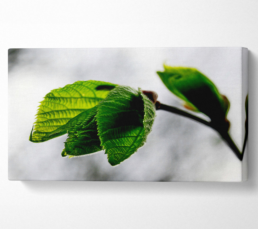  A Canvas Print of The Winter Leaves Canvas Wall Art