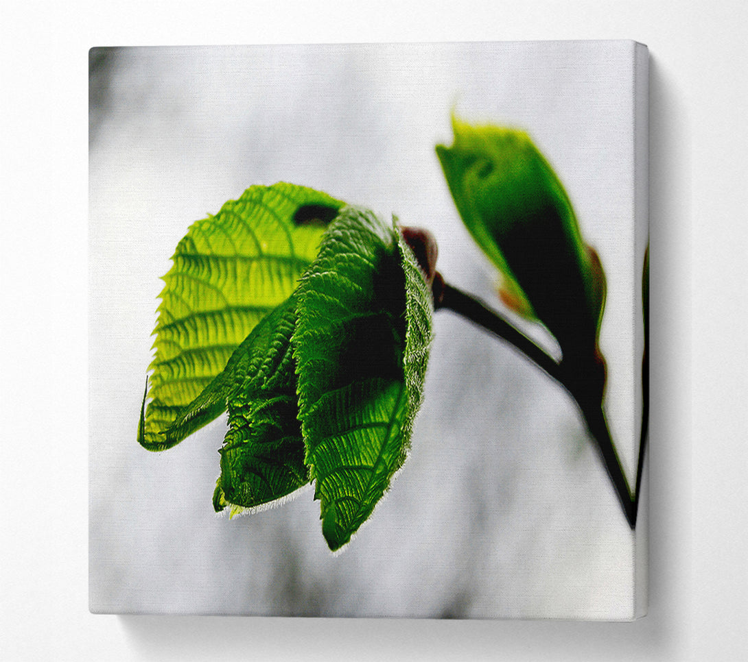  A Canvas Print of The Winter Leaves Canvas Wall Art