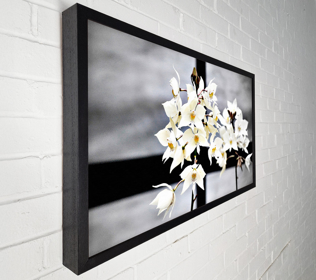  A Canvas Print of White Snowdrop Cross Canvas Art