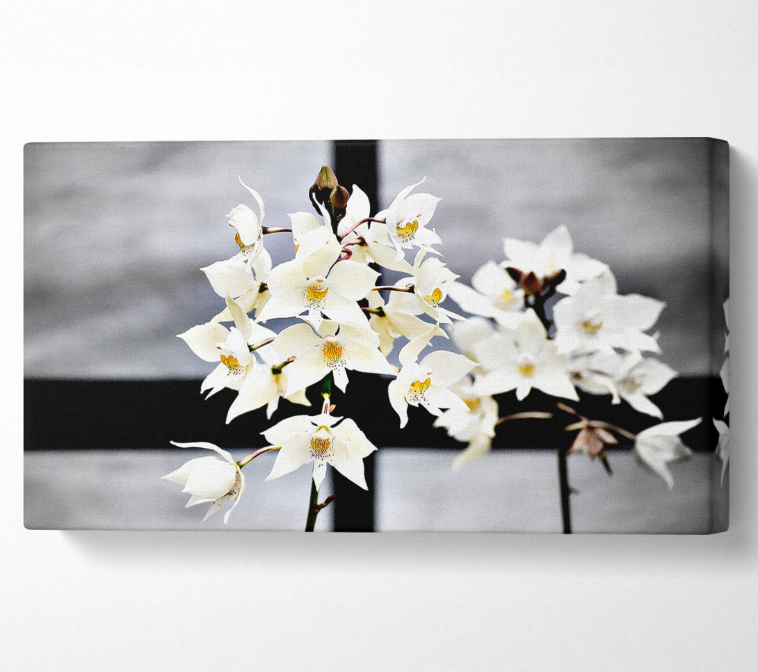  A Canvas Print of White Snowdrop Cross Canvas Art
