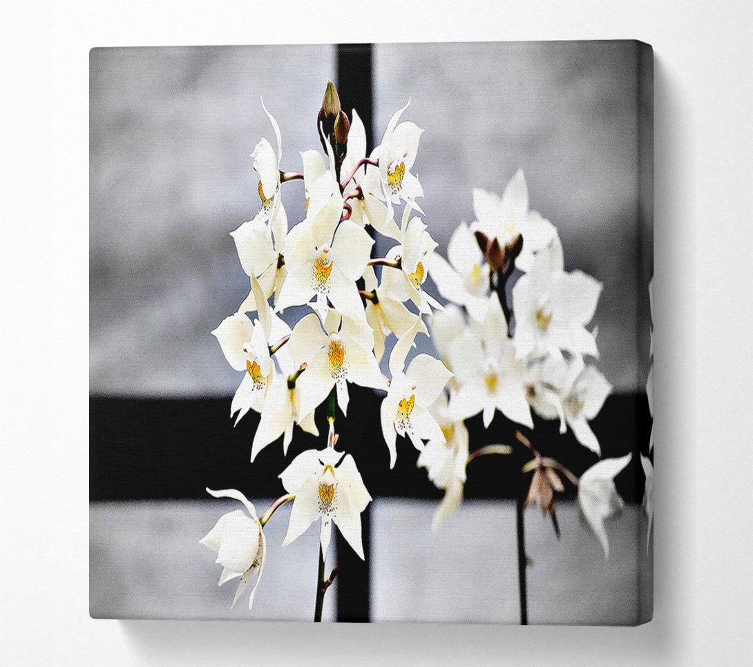  A Canvas Print of White Snowdrop Cross Canvas Art