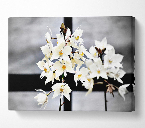  A Canvas Print of White Snowdrop Cross Canvas Art