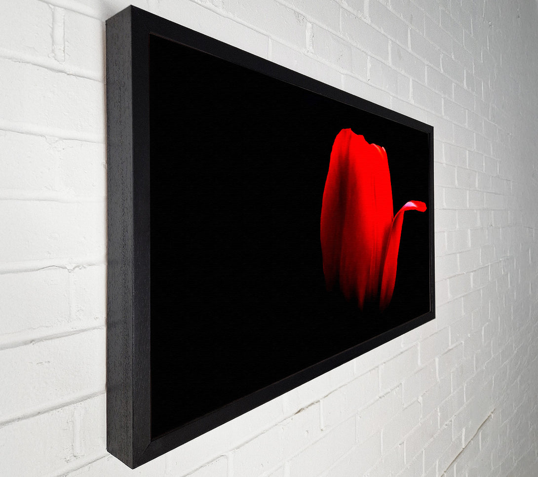  A Canvas Print of Fire Red Tulip Petal Canvas Wall Art