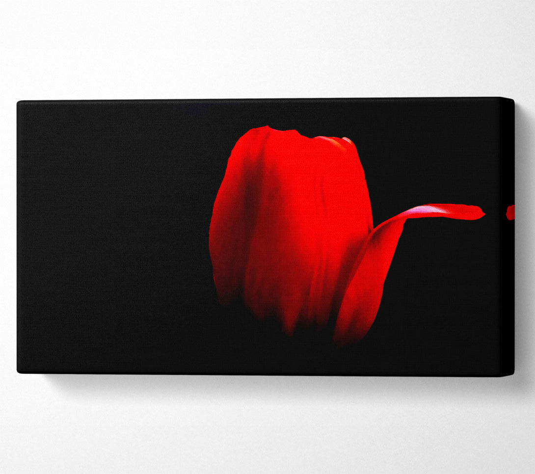  A Canvas Print of Fire Red Tulip Petal Canvas Wall Art