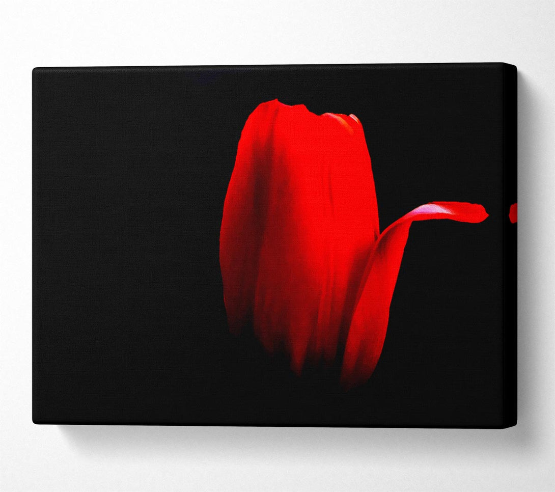  A Canvas Print of Fire Red Tulip Petal Canvas Wall Art