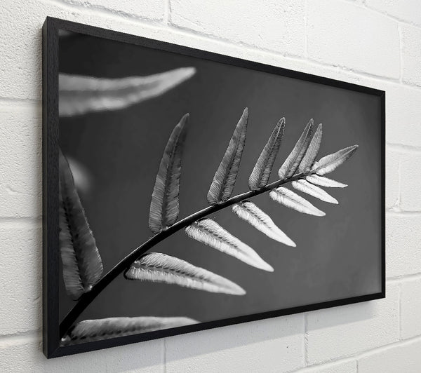 Grey Leaves