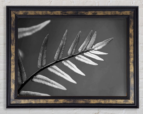 Grey Leaves Framed Print