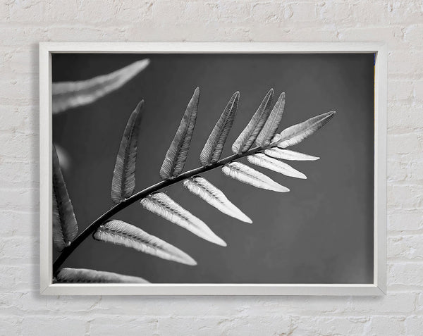 Grey Leaves Framed Print