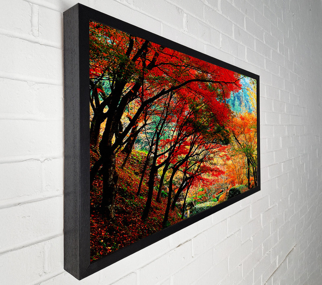  A Canvas Print of Autumn Tree Delight Canvas Print