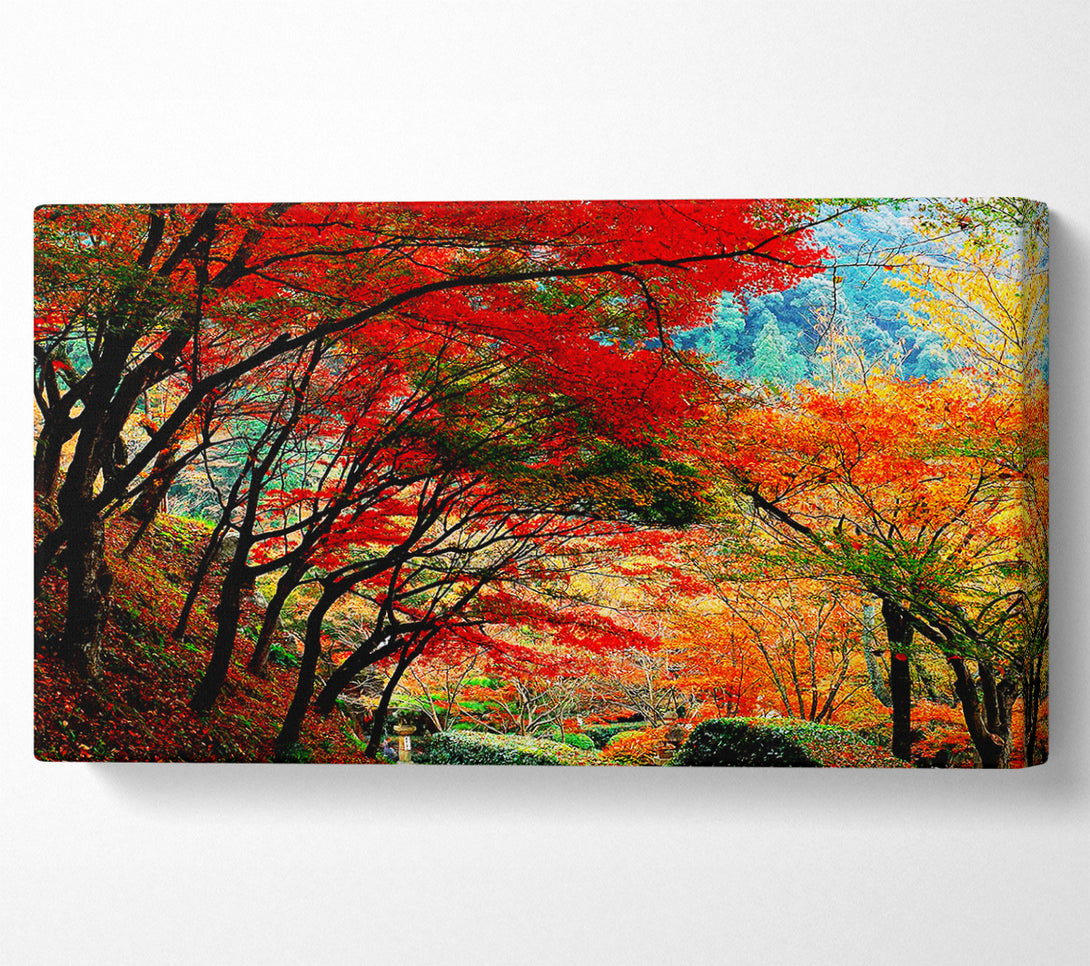  A Canvas Print of Autumn Tree Delight Canvas Print