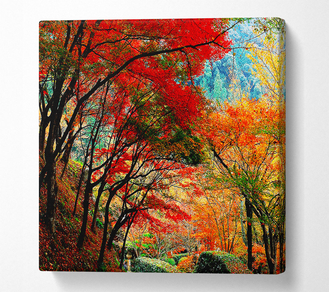  A Canvas Print of Autumn Tree Delight Canvas Print