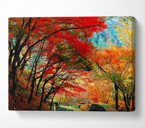  A Canvas Print of Autumn Tree Delight Canvas Print